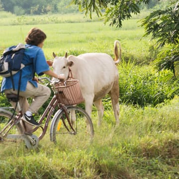 Thailand, Chiang Mai, Khum Lanna, Biking Local Area