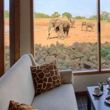 Kenya aberdare the ark afternoon tea elephants