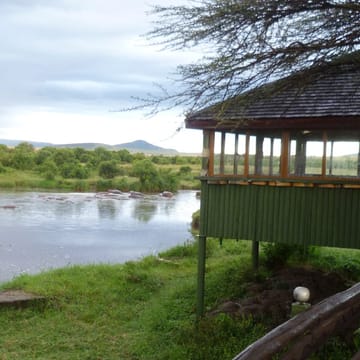 Kenya Masai Mara Keekorok Lodge Hippo Pool Bar