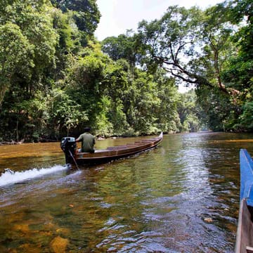 Malaysia taman negara mutiara flod sejltur