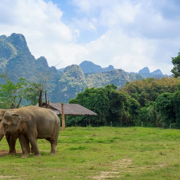 Thailand, Khao Sok, Elephant Hills, Elephants home