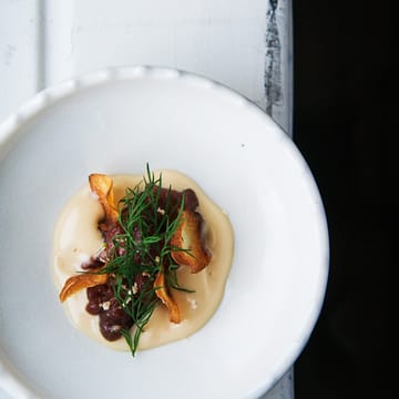tallerken med smukt anrettet mad fra f&aelig;r&oslash;erne restaurant aarstova