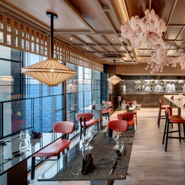 explora sakura scaled