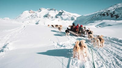 Grønland hundeslaede