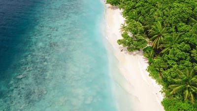 maldiverne udsigt over strand og hav