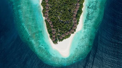 maldiverne avani fares plus husrev oestlige strand