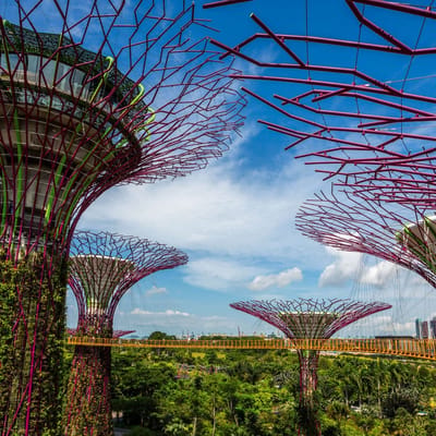 singapore gardens the bay supertrees scaled