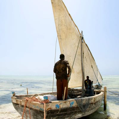 tanzania zanzibar tumbaty zanzibars bedst bevarade hemmelighed udflugt