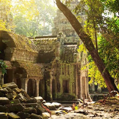 Cambodia, Siam Reap, Udflugt, Udforsk Angkor Wat p&aring; cykel