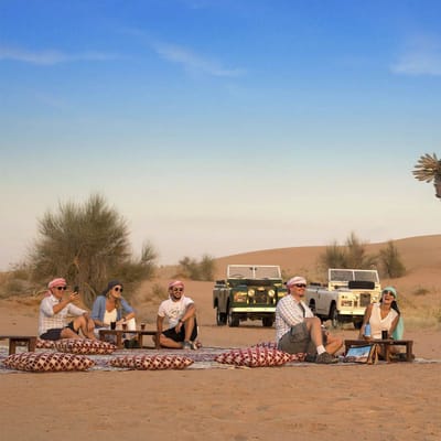 Dubai &Oslash;rken Safari Falke Opdr&aelig;t