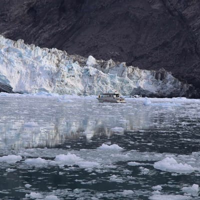 Gr&oslash;nland Ilulissat, Eqi, Gletsjer, K&aelig;lvende Br&aelig;, Diskobugten, Natur, Udflugt