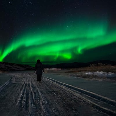 Grønland, Kangerlussuaq, Nordlys, Aurora Borealis, Nat