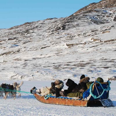 Gr&oslash;nland Kangerlussuaq, Hundesl&aelig;de, Sl&aelig;dehunde, Udflugt, Snelandskab, Natur