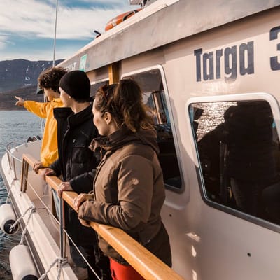 Gr&oslash;nland Sisimut, B&aring;dtur, Udflugt, Assaqutaq, Natur