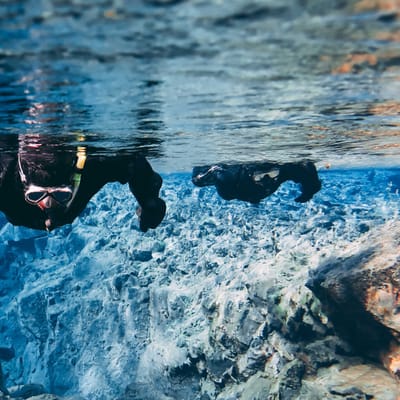 Island, snorkling i Thingvallavatn mellem kontinentalpladerne