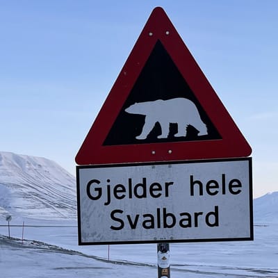Norge, Svalbard, Longyearbyen, advarselsskilt med isbj&oslash;rne