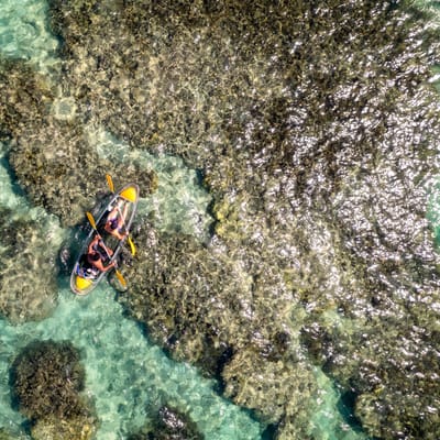 Reunion Saint Gilles Gennemsigtig Kayak Set Fra Luften