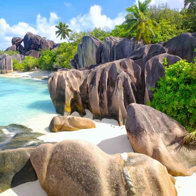 seychellerne mahe heldagstur til praslin digue udflugt