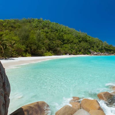 seychellerne praslin dugie heldagstur udflugt