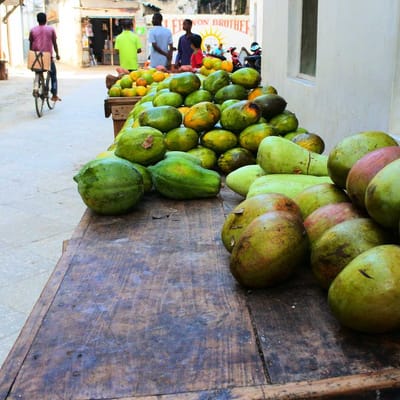tanzania zanzibar stonetown stone town maerk historien vaeggen udflugt