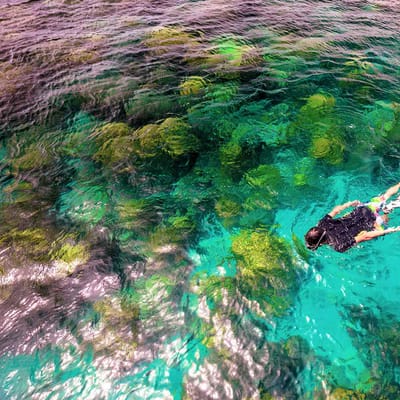 Thailand Koh Rok Kvinde Snorkler I Klart Vand