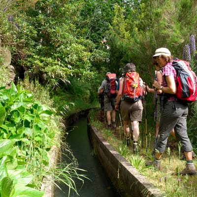 Madeira Levada Vandring