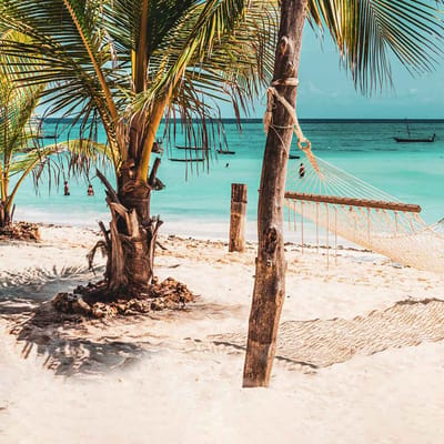 zanzibar haengekoeje strand palmer