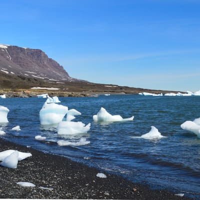Gr&oslash;nland, Disko&oslash;en, Qeqertarsuaq, Godhavn, Natur, Isbjerge