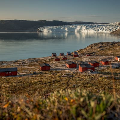Groenland Eqi Glacier Lodge Kredit Visit Greenland