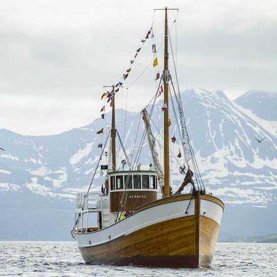 hermes2 fjordcruise fra Troms&oslash;