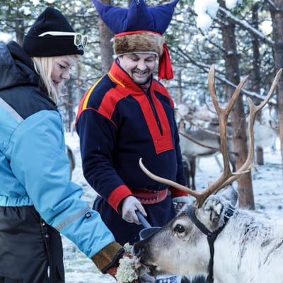 finland Lapland wilderness hotels meet the reindeer1 scaled