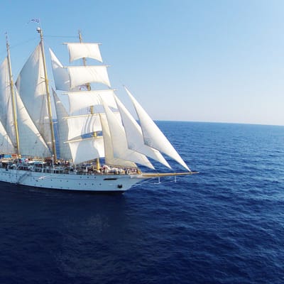 ship new