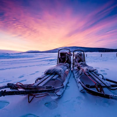 Hundeslæde i Svensk Lapland Torne River Icehotel