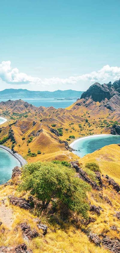Indonesien Komodo, Padar Island Udsigt 