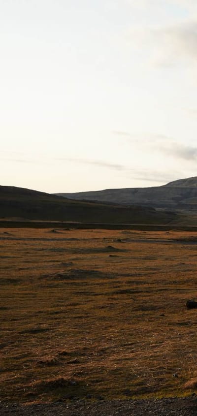 Rejser til Island, N&uacute;par, Fosshotel N&uacute;par, outdoor