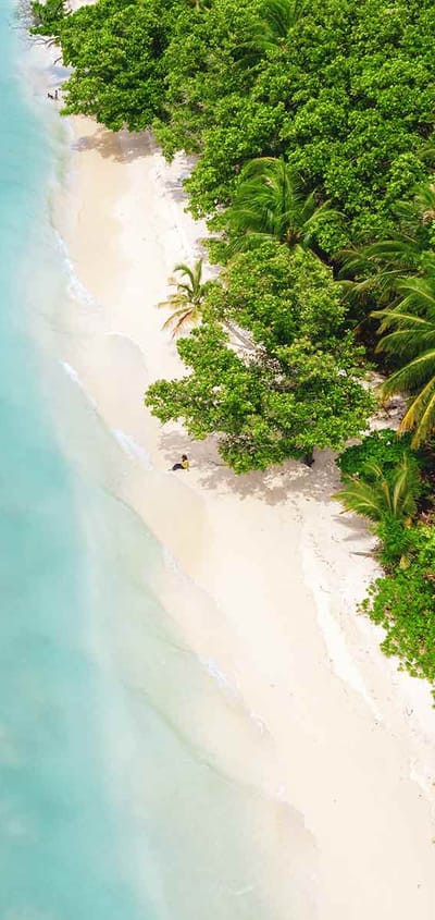 maldiverne udsigt over strand og hav