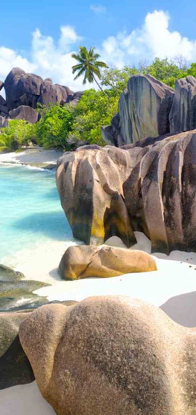 seychellerne mahe heldagstur til praslin digue udflugt