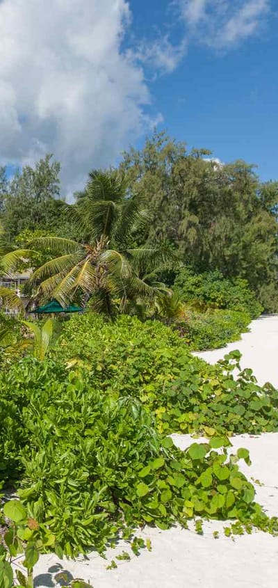 seychellerne praslin acajou beach strand2 resort