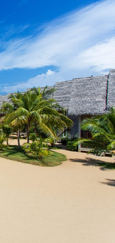 Sri Lanka Maalu Maalu Resort Udsigt Pool Og Havet