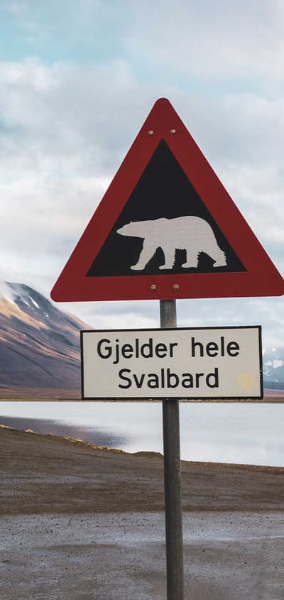 Skilt med advarsel om isbjørne, Svalbard