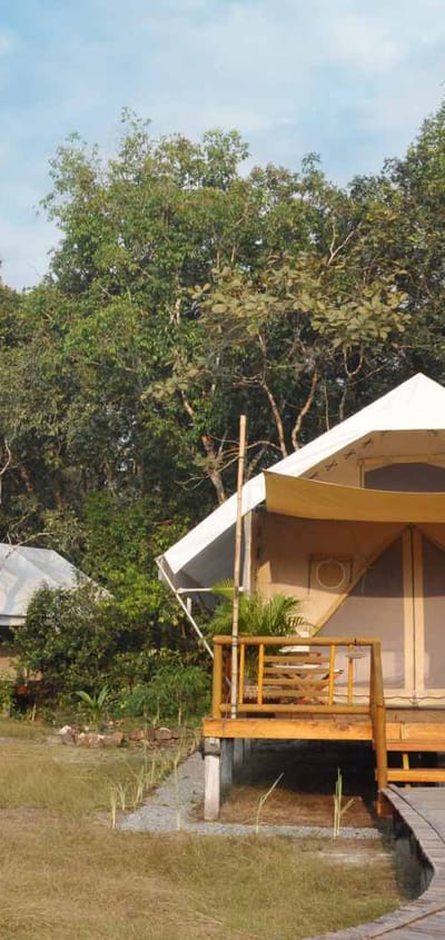Cambodia, Cardamom Mountain,s Cardamom Tented Camp, Telte