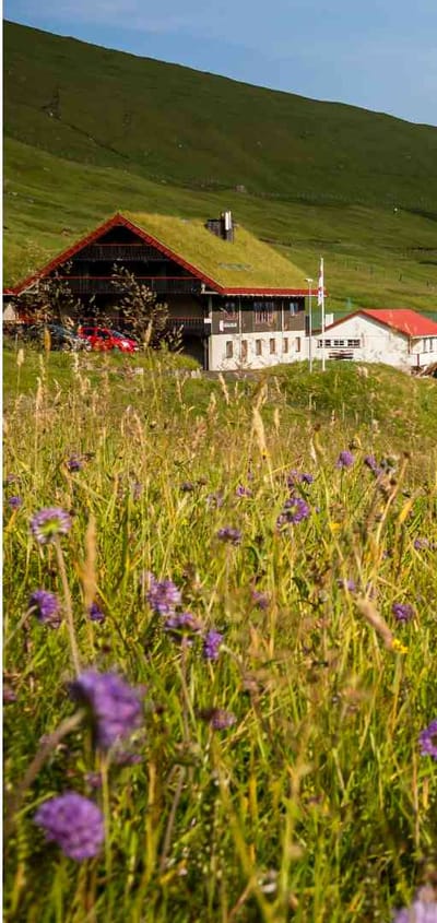 F&aelig;r&oslash;erne, Eysturoy, Gjaargardur Guesthouse Gjogv, Udsigt, Marker, Bjerge, Vand