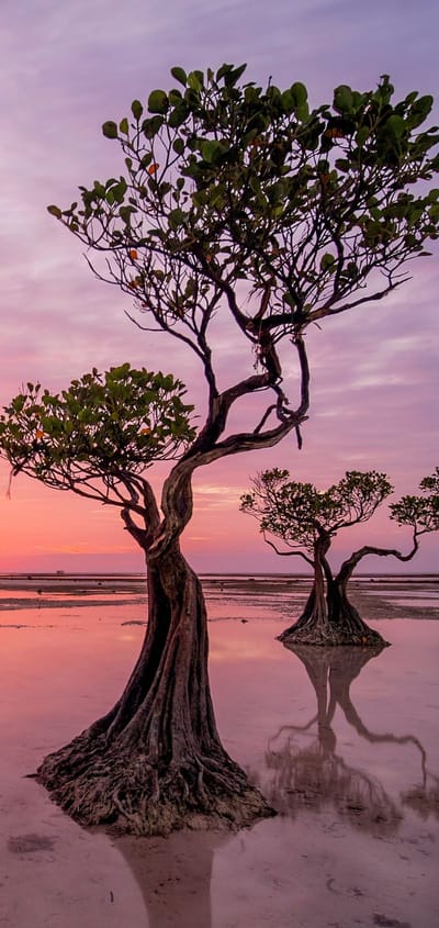 insonesien sumba walakiri beach