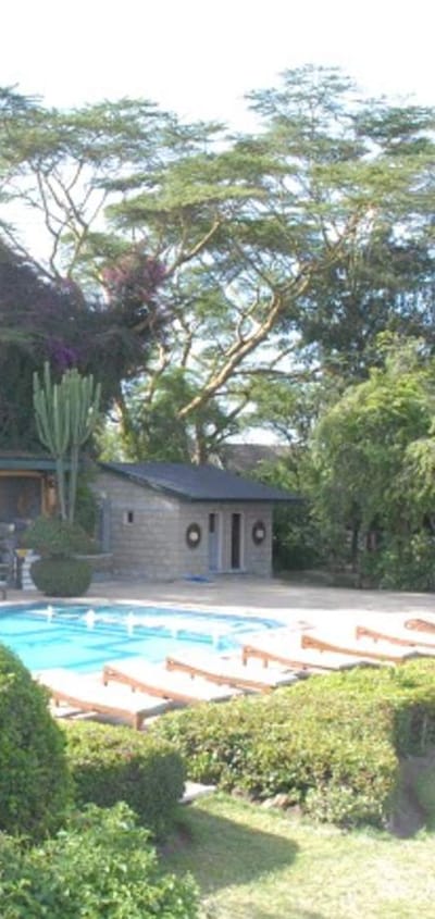 Kenya lake nakuru lake nakuru pool lodge