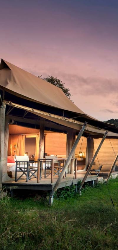 Kenya Masai Mara Mara and beyond kichwa tembo tented superior tent lejr