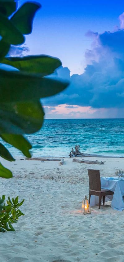 seychellerne denis island denis private island private dinner beach resort