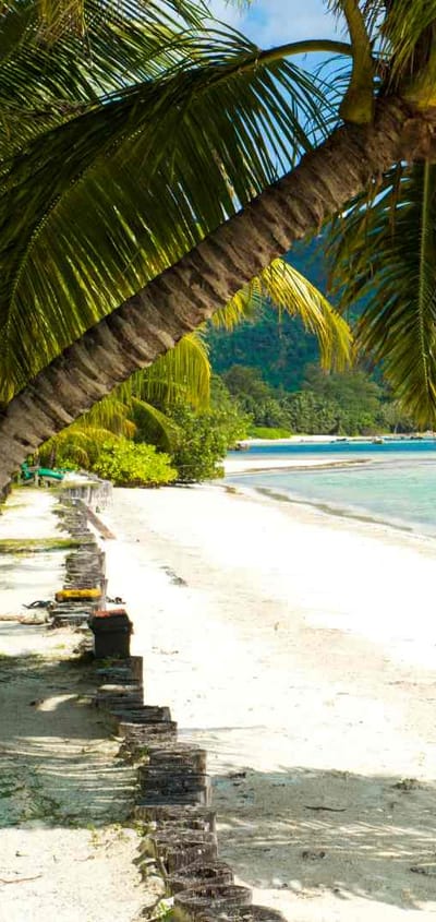 seychellerne praslin indian ocean stranden lodge