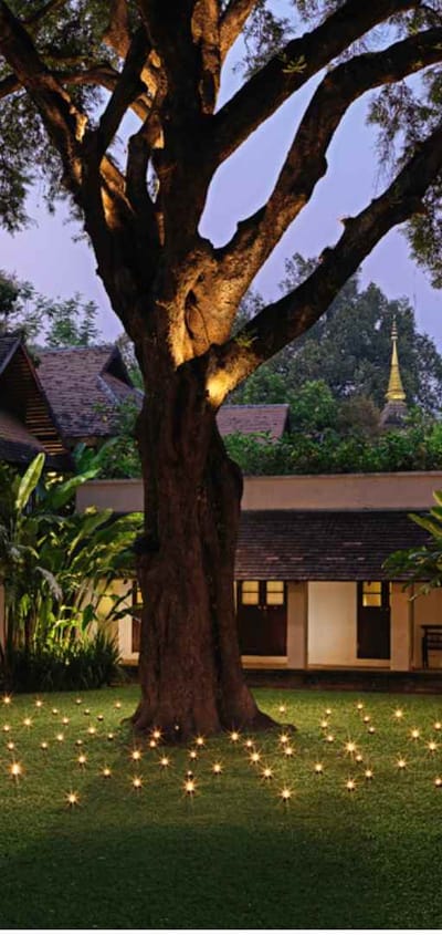 Thailand, Chiang Mai, Tamarind Village, Garden Area