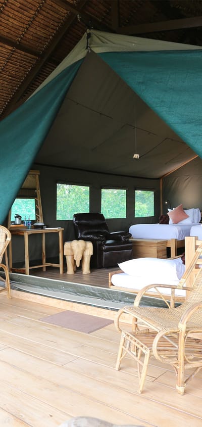 Thailand, Chiang Mai, The Bush Camp, Tent Terrace