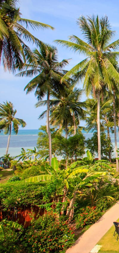 Thailand, Koh Phangan, Kupu Kupu Phangan, Pool Område